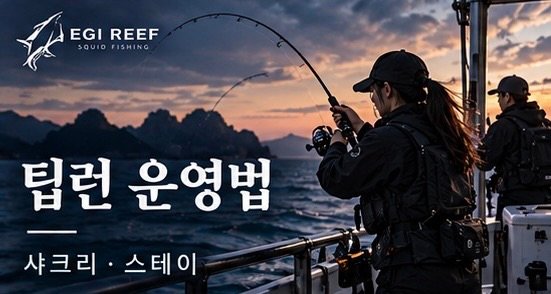 무늬오징어 팁런 에깅 운영법｜정방향·역방향에서 샤크리·스테이·폴링하는 방법