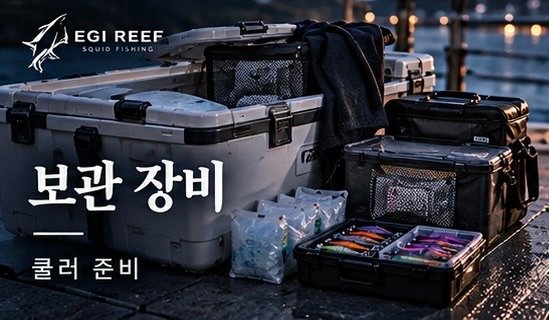 무늬오징어 보관 장비 고르는 법｜쇼어·팁런 쿨러·보냉백·냉매·트레이 준비 기준