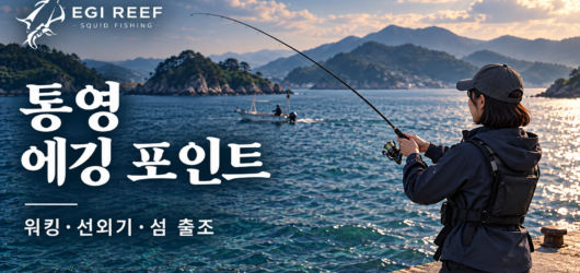 통영 무늬오징어 에깅 포인트｜워킹·선외기·섬 출조 가이드