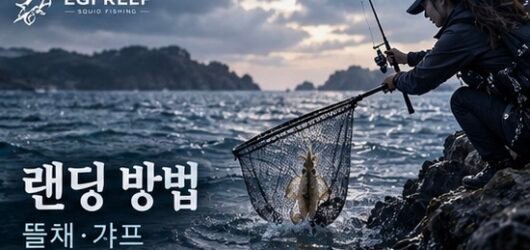 무늬오징어 에깅 랜딩 방법｜텐션 유지와 뜰채·갸프 사용 기준
