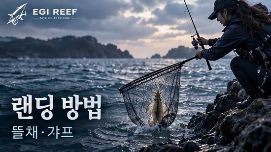 무늬오징어 에깅 랜딩 방법｜텐션 유지와 뜰채·갸프 사용 기준
