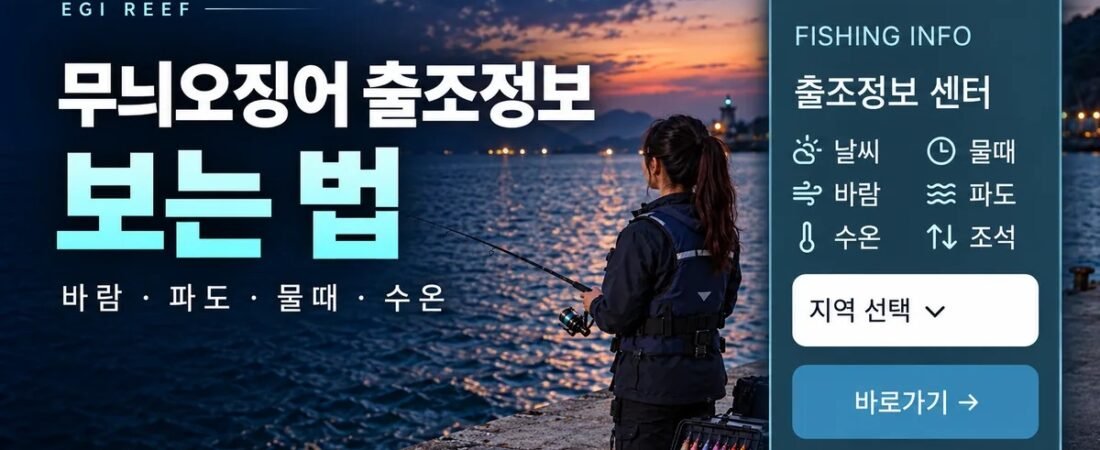 무늬오징어 낚시·에깅 출조정보｜날씨·물때·바람·파도·수온 보는 법