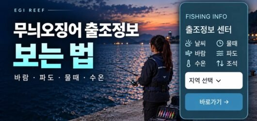 무늬오징어 낚시·에깅 출조정보｜날씨·물때·바람·파도·수온 보는 법