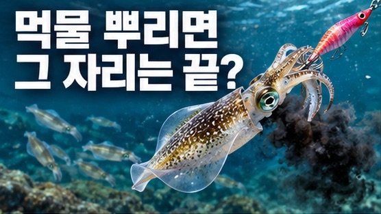 무늬오징어가 먹물을 뿌리면 끝일까?｜무리 반응과 에깅 재공략 기준